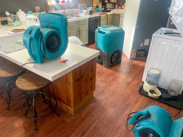 Best Basement water damage restoration  in King Cove, AK