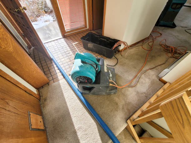 Best Emergency water damage restoration  in King Cove, AK