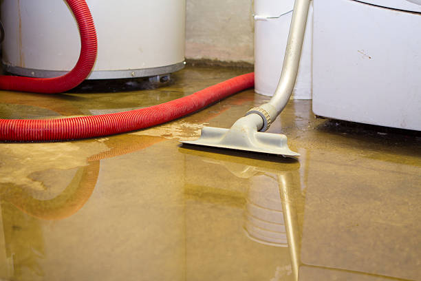 Best Residential water damage restoration  in King Cove, AK