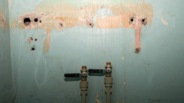 Water damage restoration mold remediation in AK